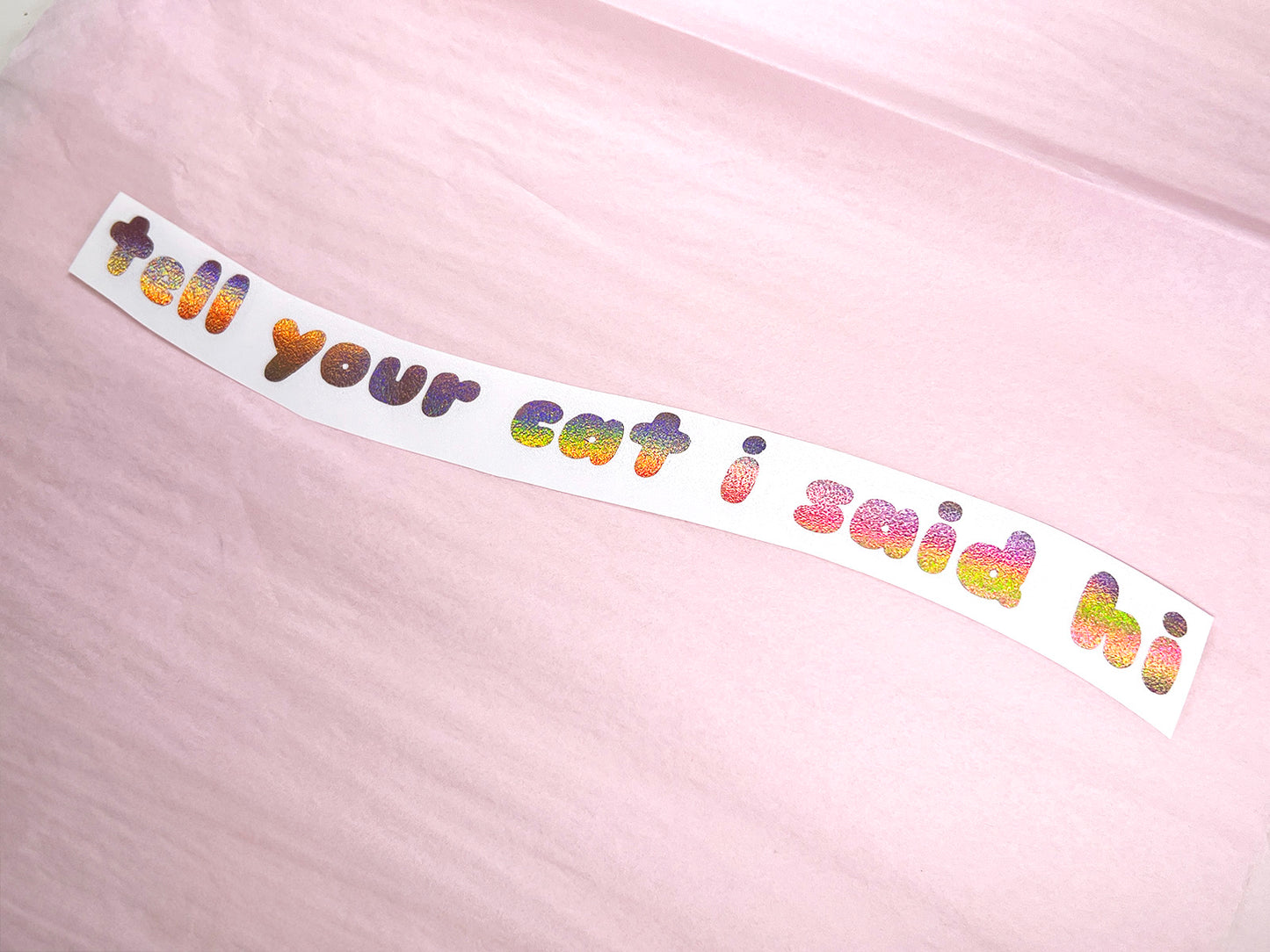 Tell Your Cat I Said Hi Decal